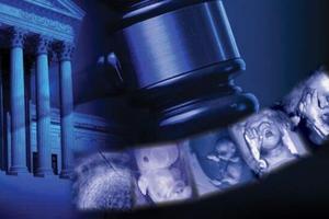 Dr. Thomas W. Hilgers contends that the 1973 abortion decision was decided on faulty science. Dr. Thomas W. Hilgers contends that the 1973 abortion decision was decided on faulty science.