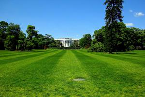 The South Lawn of the White House The South Lawn of the White House