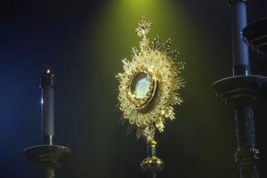 Worldwide adoration was offered virtually Saturday night as part of Seek21. Worldwide adoration was offered virtually Saturday night as part of Seek21.