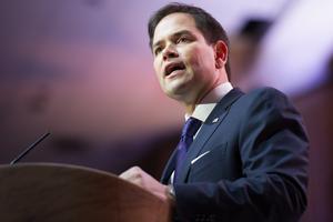Florida Senator Marco Rubio. Florida Senator Marco Rubio.