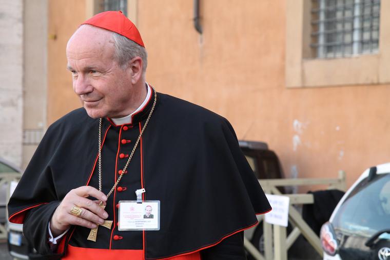 Cardinal Christoph Schonborn departs the Vatican's Synod Hall after a session of the Synod on the Family on Oct. 13, 2014. Cardinal Christoph Schonborn departs the Vatican's Synod Hall after a session of the Synod on the Family on Oct. 13, 2014.