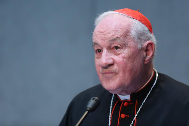 Cardinal Marc Ouellet, prefect of the Congregation for Bishops who is shown speaking at the Vatican Press Office on June 14, 2016, announced a special conference for next February. Cardinal Marc Ouellet, prefect of the Congregation for Bishops who is shown speaking at the Vatican Press Office on June 14, 2016, announced a special conference for next February.