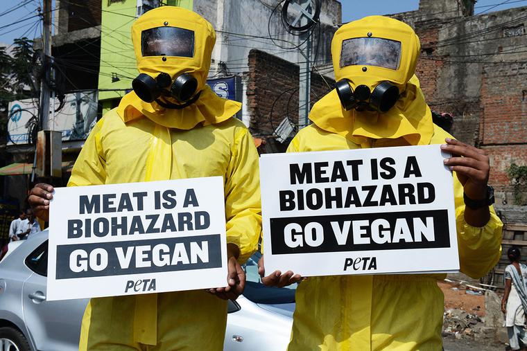 Indian activists from People for the Ethical Treatment of Animals (PETA) dressed in hazmat suits hold placards during a demonstration in Hyderabad on Jan. 5, 2015. Indian activists from People for the Ethical Treatment of Animals (PETA) dressed in hazmat suits hold placards during a demonstration in Hyderabad on Jan. 5, 2015.