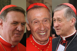 (L-R) Cardinal Joseph Tobin of Newark, N.J., Cardinal Luis Ladaria, Prefect of the CDF, and Cardinal Blase Cupich of Chicago, Ill. (L-R) Cardinal Joseph Tobin of Newark, N.J., Cardinal Luis Ladaria, Prefect of the CDF, and Cardinal Blase Cupich of Chicago, Ill.