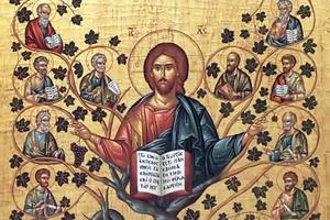 “Christ the True Vine” “Christ the True Vine”