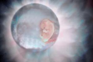 The International Society for Stem Cell Research (ISSCR) issued guidance to lift the limit on lab-grown embryo experimentation, meeting with strong criticism from bioethicists. The International Society for Stem Cell Research (ISSCR) issued guidance to lift the limit on lab-grown embryo experimentation, meeting with strong criticism from bioethicists.