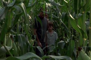 ‘Signs’ (2002) ‘Signs’ (2002)