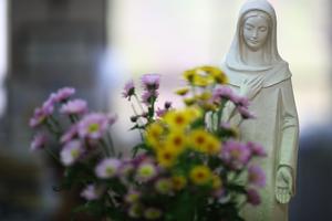 Blessed Virgin Mary With Flowers Blessed Virgin Mary With Flowers