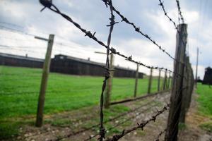 Concentration Camp Concentration Camp