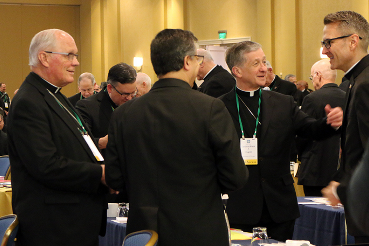 Bishops take part in the final public session of the U.S. Conference of Catholic Bishops' General Assembly on Thursday, June 13, 2019. Bishops take part in the final public session of the U.S. Conference of Catholic Bishops' General Assembly on Thursday, June 13, 2019.