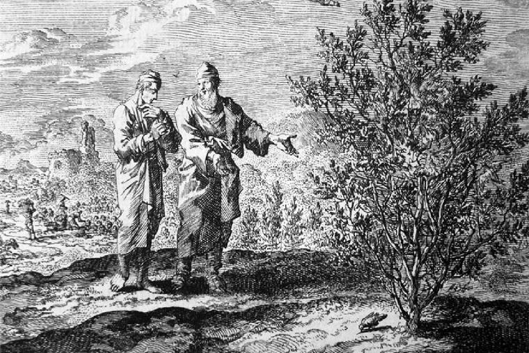 Jan Luyken (1649-1712), “Parable of the Mustard Seed” Jan Luyken (1649-1712), “Parable of the Mustard Seed”