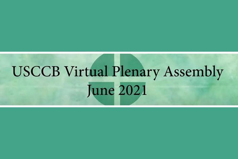 The bishops are gathering virtually this week. The bishops are gathering virtually this week.