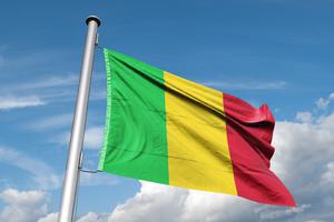 Flag of Mali waves in the wind. Flag of Mali waves in the wind.