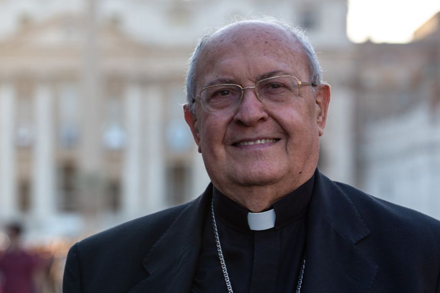 Vatican Cardinal: Europeans Must ‘Reawaken Consciences’ After Abortion Vote Vatican Cardinal: Europeans Must ‘Reawaken Consciences’ After Abortion Vote
