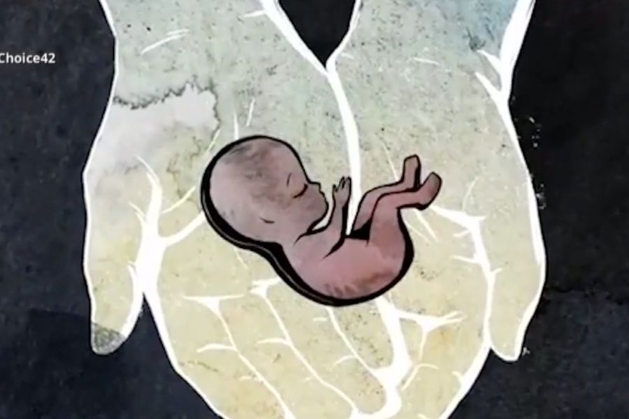 An image from the Canadian pro-life group Choice42's animated video encouraging pregnant women to choose life. An image from the Canadian pro-life group Choice42's animated video encouraging pregnant women to choose life.