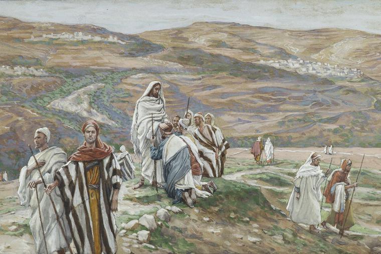 15th Sunday in Ordinary Time: Sent on a Mission