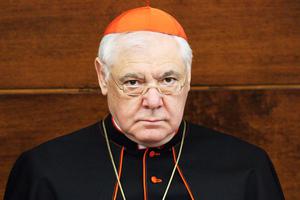Cardinal Gerhard Müller Cardinal Gerhard Müller