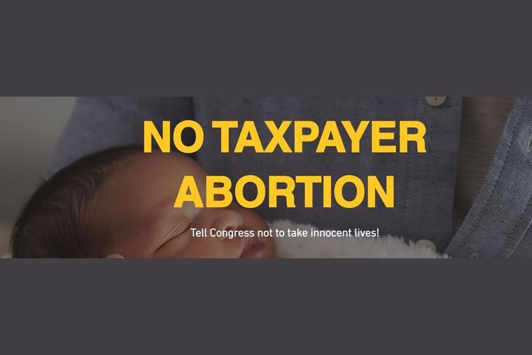 A screenshot of the USCCB petition site informs website visitors of the petition below. A screenshot of the USCCB petition site informs website visitors of the petition below.