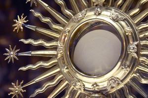 The Eucharist only helps those who are disposed to receive Our Lord well, states the Sunday Guide for this week. The Eucharist only helps those who are disposed to receive Our Lord well, states the Sunday Guide for this week.