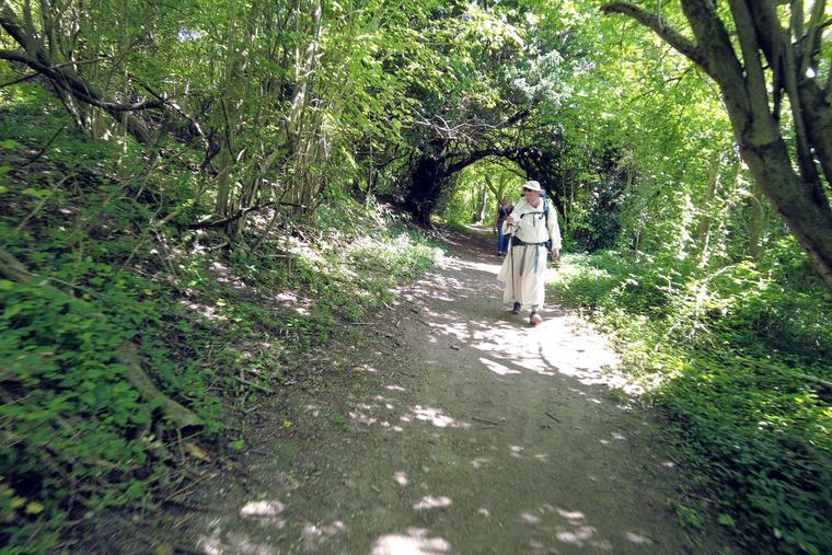 The Dominican pilgrims walk through Whitehorse Wood on their way to Wrotham Aug. 5. The Dominican pilgrims walk through Whitehorse Wood on their way to Wrotham Aug. 5.