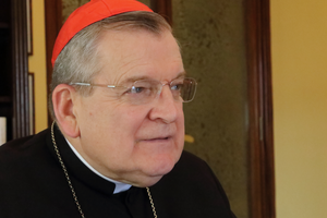 Cardinal Raymond Burke Cardinal Raymond Burke