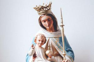 When seeking help from the ‘wisdom from above,’ we will live in gentleness and peace. When seeking help from the ‘wisdom from above,’ we will live in gentleness and peace.