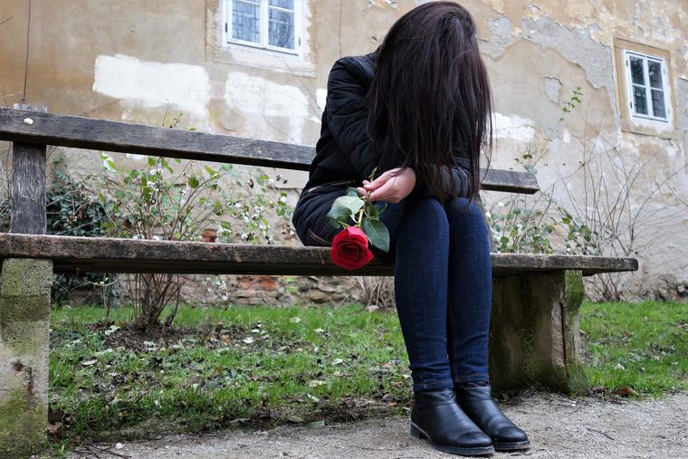 “Red Rose” “Red Rose”
