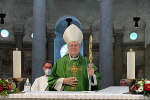 Cardinal Peter Erdő of Hungary. Cardinal Peter Erdő of Hungary.