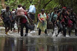 Haitian migrants cross the jungle of the Darien Gap, near Acandi, Choco department, Colombia, heading to Panama, on September 26, 2021, on their way trying to reach the US. Haitian migrants cross the jungle of the Darien Gap, near Acandi, Choco department, Colombia, heading to Panama, on September 26, 2021, on their way trying to reach the US.