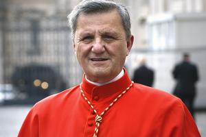 Cardinal Mario Grech leaves St. Peter's basilica after the consistory for the creation of 13 new cardinals Nov. 28, 2020 Cardinal Mario Grech leaves St. Peter's basilica after the consistory for the creation of 13 new cardinals Nov. 28, 2020