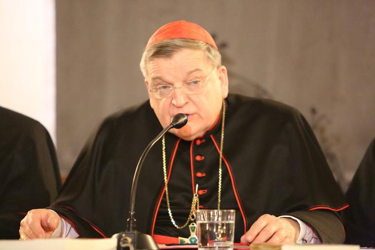 Cardinal Raymund Burke speaks with the press during a book presentation in Rome on Nov. 21, 2014. Cardinal Raymund Burke speaks with the press during a book presentation in Rome on Nov. 21, 2014.
