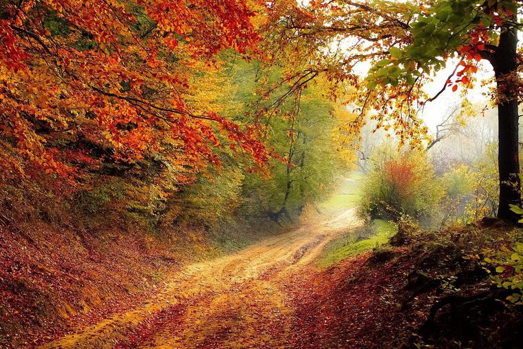 Autumn Autumn