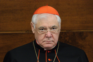 Cardinal Gerhard Müller. Cardinal Gerhard Müller.