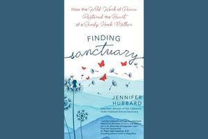 ‘Finding Sanctuary’ is a poignant read. ‘Finding Sanctuary’ is a poignant read.