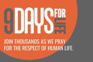 The U.S. Conference of Catholics Bishops announced Dec. 18 the annual "9 Days for Life" prayer and action campaign will run Jan. 14 to Jan. 22. Pictured is promotional material for the campaign. The U.S. Conference of Catholics Bishops announced Dec. 18 the annual "9 Days for Life" prayer and action campaign will run Jan. 14 to Jan. 22. Pictured is promotional material for the campaign.
