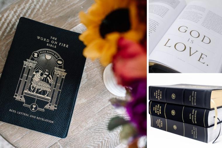 Encountering Christ in Scripture &mdash; Word on Fire Bible: Vol. II