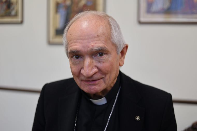 Cardinal Silvano Tomasi is the papal delegate assigned to Order of Malta's process of reform. Cardinal Silvano Tomasi is the papal delegate assigned to Order of Malta's process of reform.