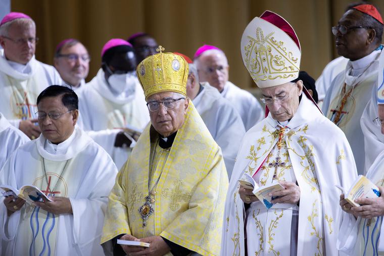 Cardinal Hollerich and the Destabilization of Doctrine