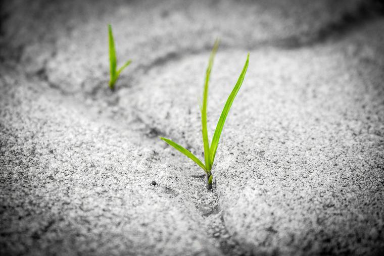 Perseverance Perseverance