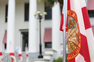 The ‘Parental Rights in Education’ bill was passed by the Florida Senate on March 8 and is awaiting Gov. Ron DeSantis’ signature. The ‘Parental Rights in Education’ bill was passed by the Florida Senate on March 8 and is awaiting Gov. Ron DeSantis’ signature.