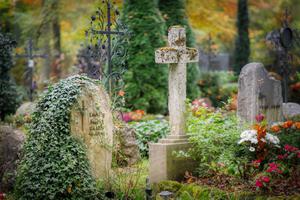 Cemetery Cemetery