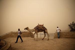 A man walks with a camel on the Mount of Olives, from where the Temple Mount and Church of the Holy Sepulcher can usually be seen, during a sandstorm Sept. 8, 2015, in Jerusalem. A man walks with a camel on the Mount of Olives, from where the Temple Mount and Church of the Holy Sepulcher can usually be seen, during a sandstorm Sept. 8, 2015, in Jerusalem.
