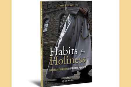 Summer Book Club: The Catholic Guide to Developing Good (and Holy) Habits