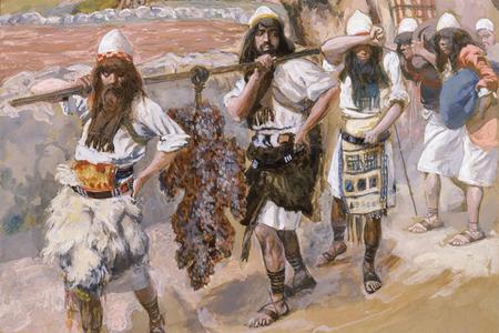 Roe v. Wade Has Fallen — We Are Grasshoppers No Longer! Roe v. Wade Has Fallen — We Are Grasshoppers No Longer!