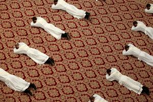 Priests lie prostrate during their ordination by Pope Francis during Mass in St. Peter Basilica on the 56th World Day of Prayer for Vocations on May 12, 2019. Priests lie prostrate during their ordination by Pope Francis during Mass in St. Peter Basilica on the 56th World Day of Prayer for Vocations on May 12, 2019.