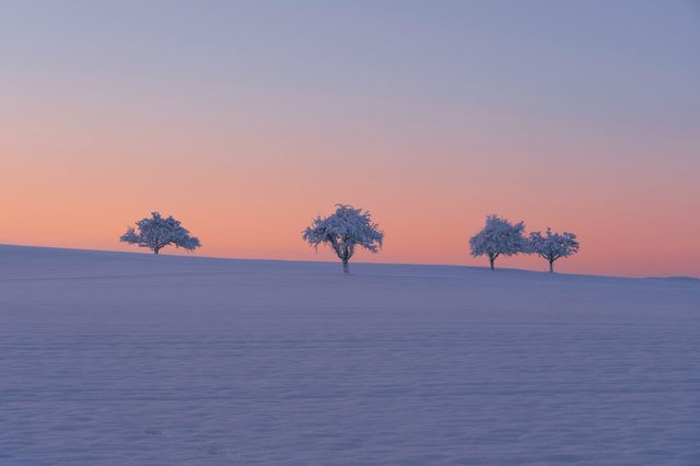 gallery description (foto: )