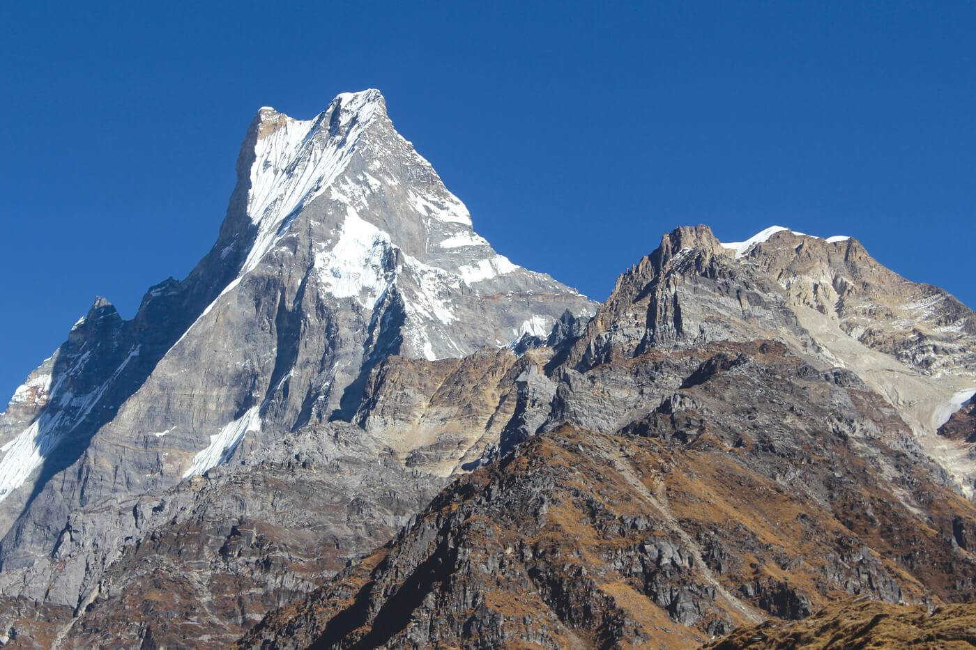 Past disasters foretold