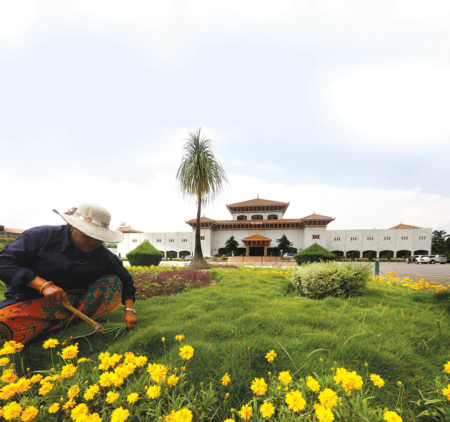 Let a thousand flowers bloom