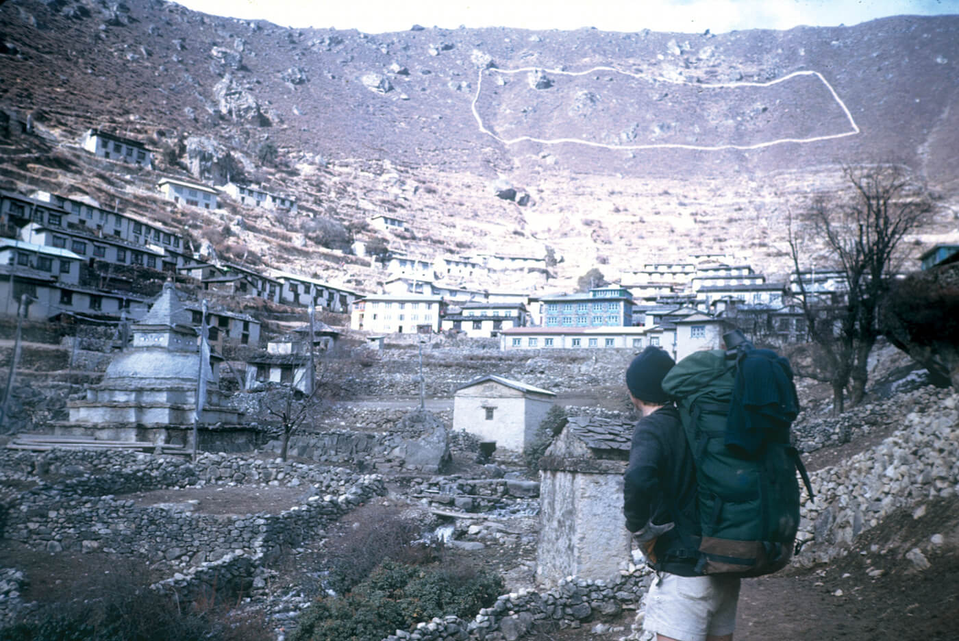 More trekkers, more trees