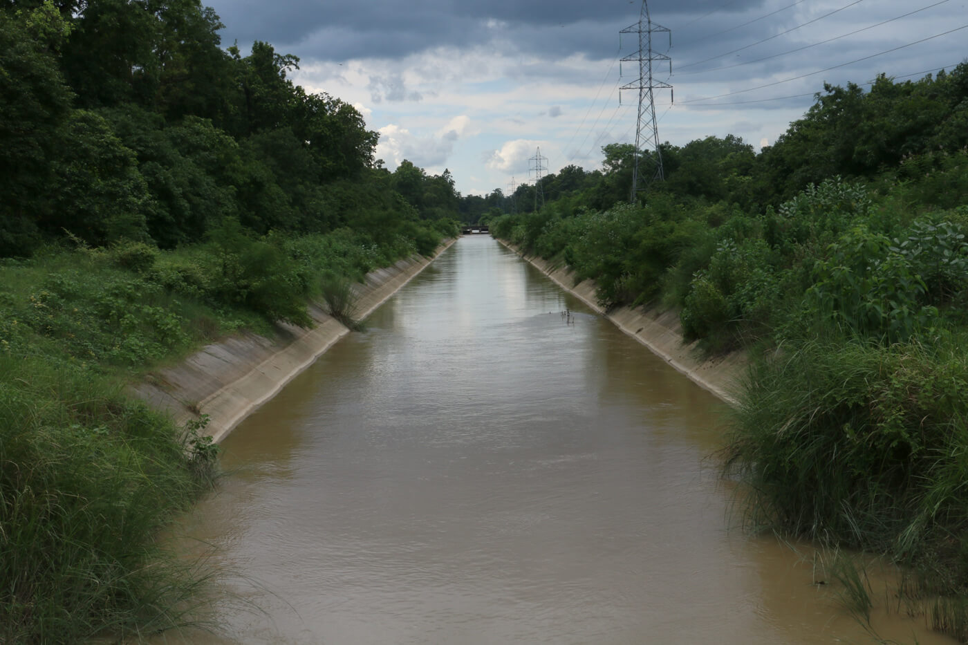 In conservation, Nepal is not out of the woods yet